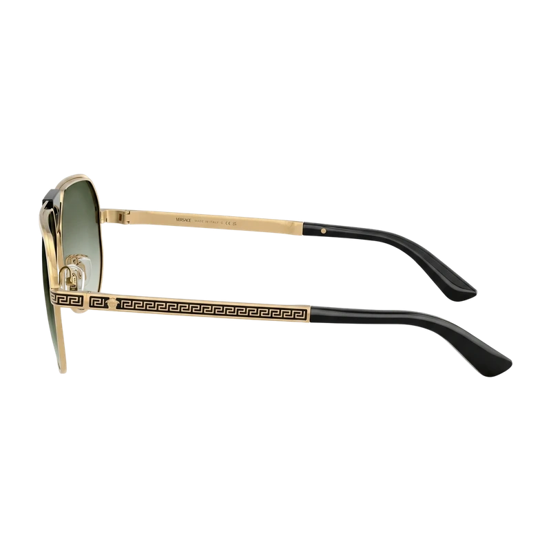 VE2294 Sunglasses Green