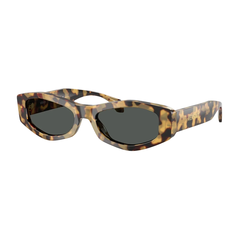 VE4487 Black Sunglasses Brown