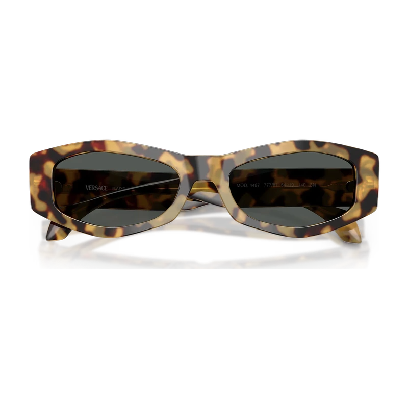 VE4487 Black Sunglasses Brown