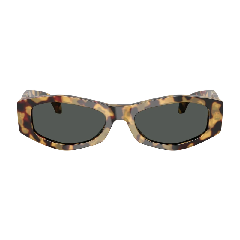 VE4487 Black Sunglasses Brown