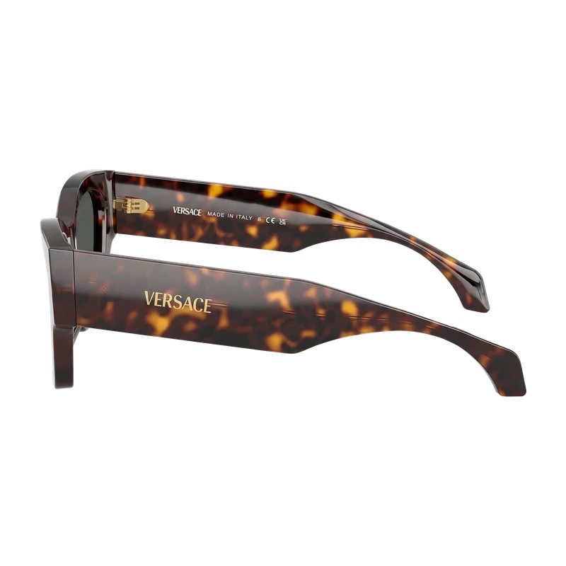 Square Sunglasses Brown