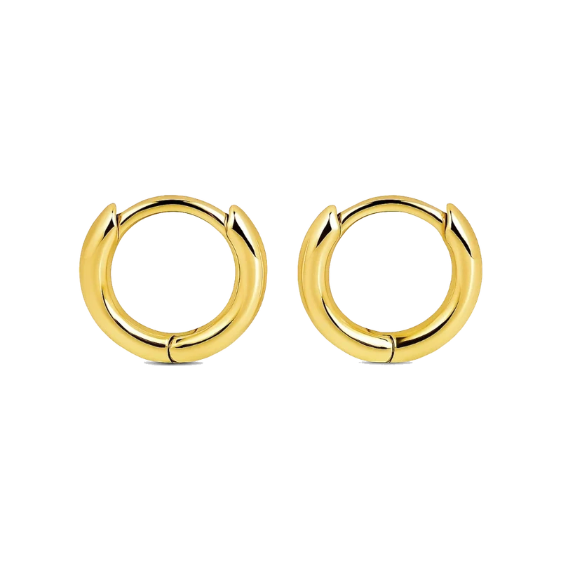 Erin Mini Hoop Earring