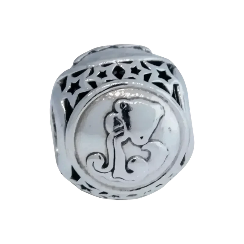 Aquarius Star Sign Charm