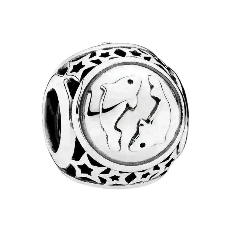 Pisces Star Sign Charm