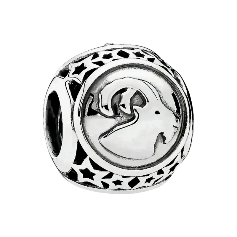 Capricorn Star Sign Charm