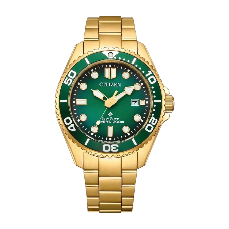 Promaster Dive Green Dial