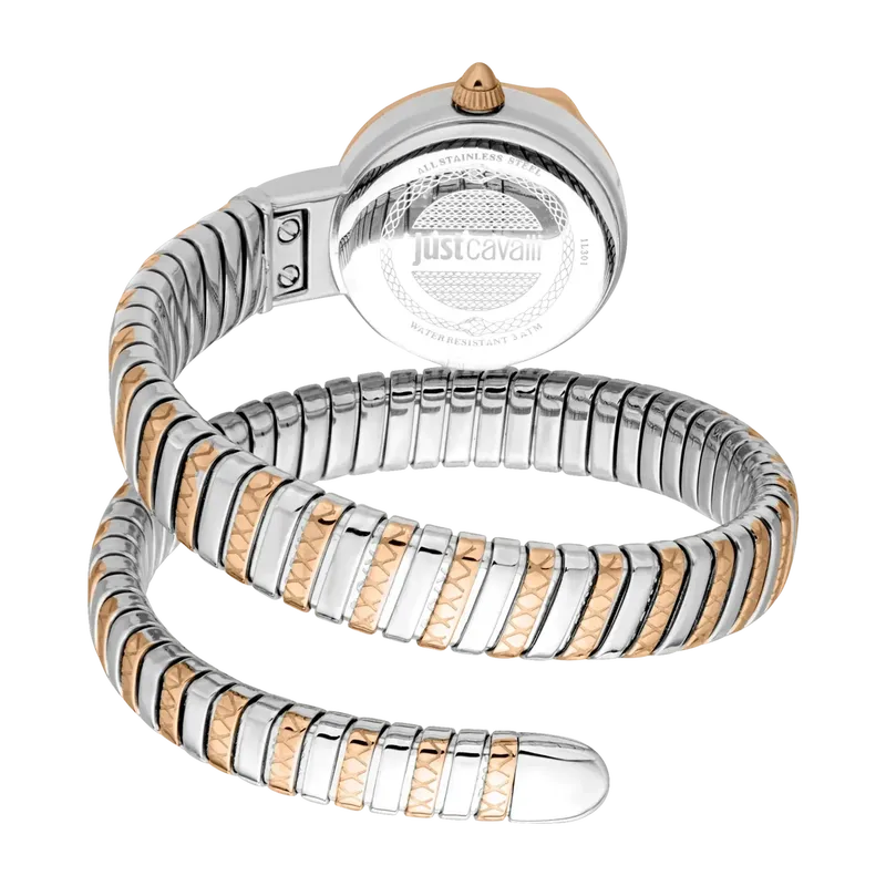 Snake Cerchio