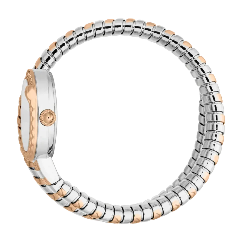 Snake Cerchio
