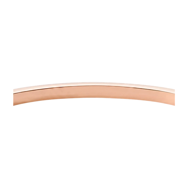 Sadie Shine Bright Rose Gold-Tone Stainless Steel Bangle Bracelet