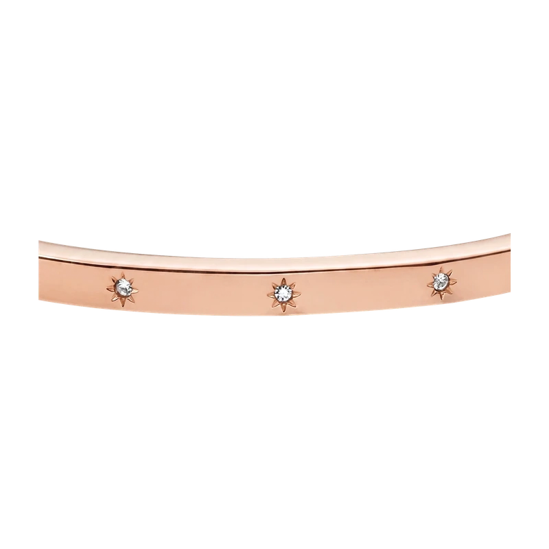 Sadie Shine Bright Rose Gold-Tone Stainless Steel Bangle Bracelet