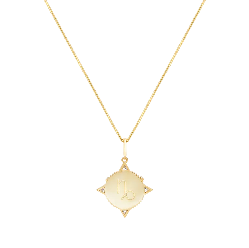 Written In The Stars - Capricorn Necklace