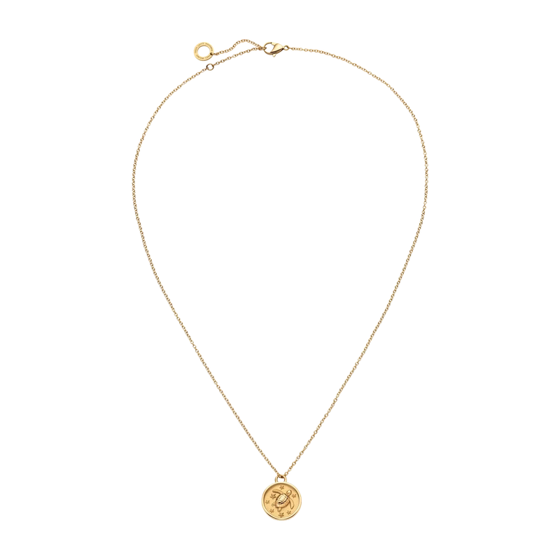 Turtle Coin Necklace