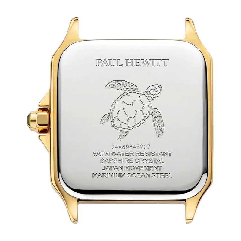 Petite Tortue White